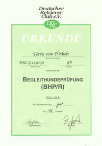 Urkunde BHP-1
